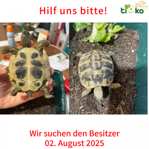 Fundtiere FB(65)